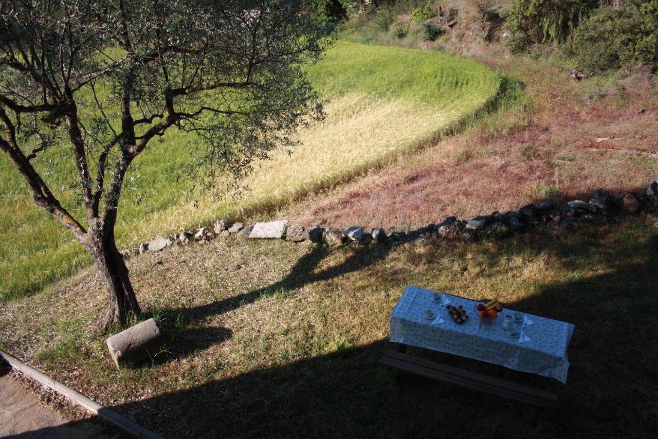 Casa Rural El Pajar De Tejedor Mondot Dış mekan fotoğraf